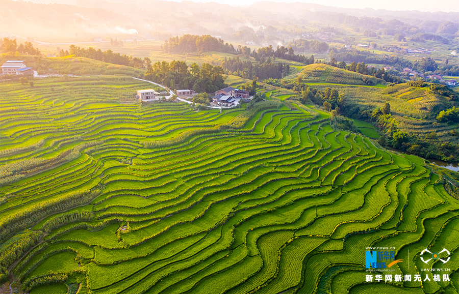 "飞阅"中国】航拍重庆盐井梯田 俯瞰夏日田园美景