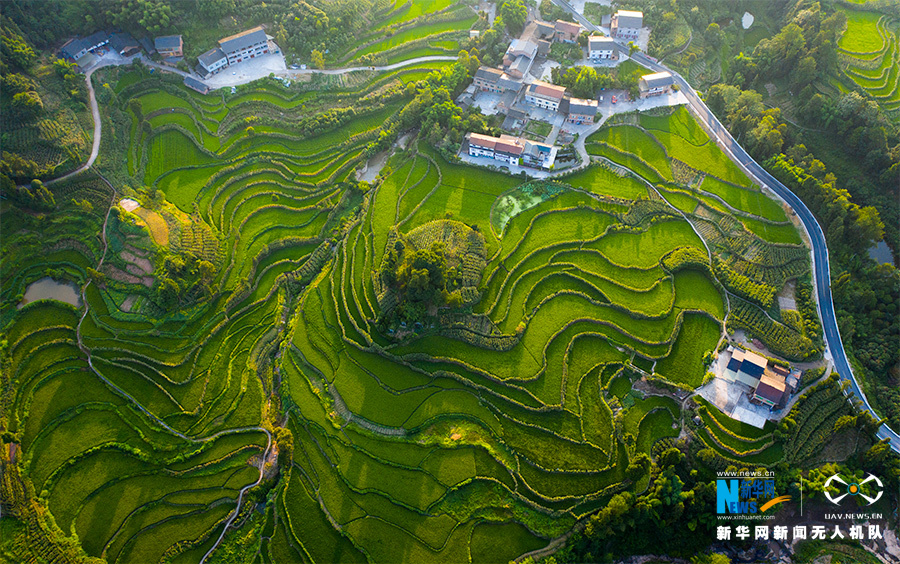 "飞阅"中国】航拍重庆盐井梯田 俯瞰夏日田园美景