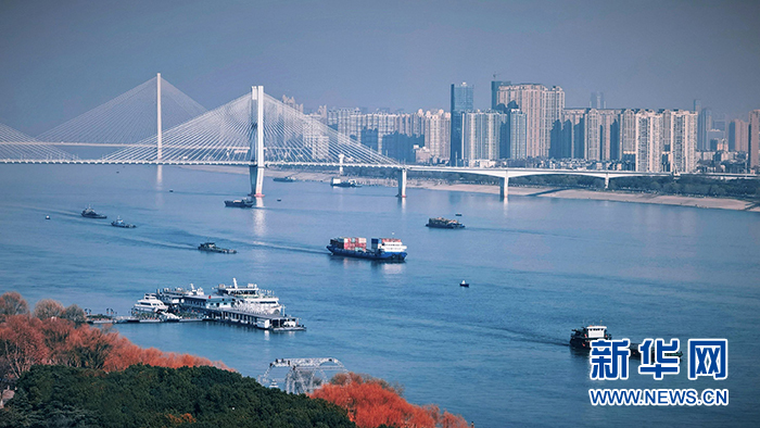 上半年长江港口吞吐量快速增长集装箱运输势头旺盛