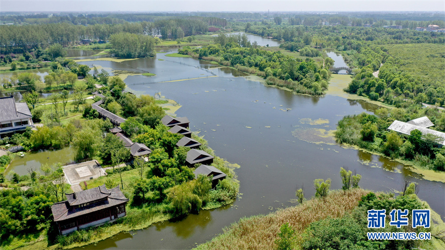 8月25日,在安徽省亳州市利辛县西淝河国家湿地公园航拍的初秋美景.