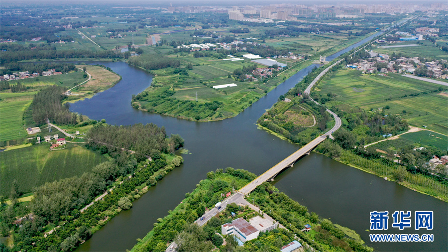 8月25日,在安徽省亳州市利辛县西淝河国家湿地公园航拍的初秋美景.