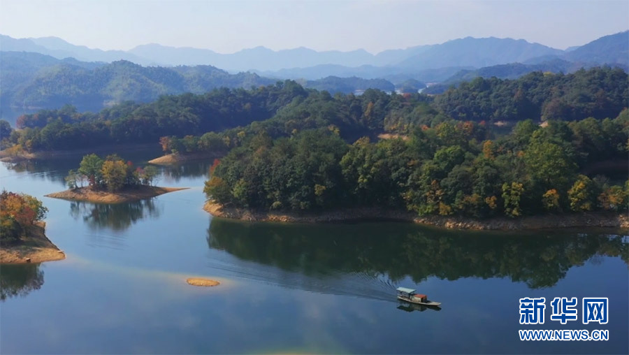 深秋时节,安徽省黄山市黄山区太平湖湿地层林尽染,苍山如黛,绿水如