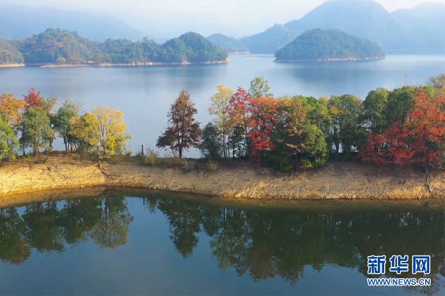 深秋时节,安徽省黄山市黄山区太平湖湿地层林尽染,苍山如黛,绿水如