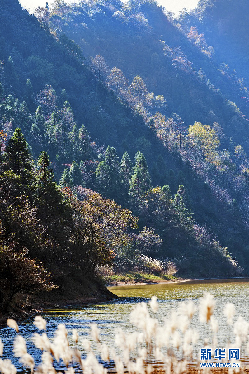 湖北恩施:初冬湿地美景醉人