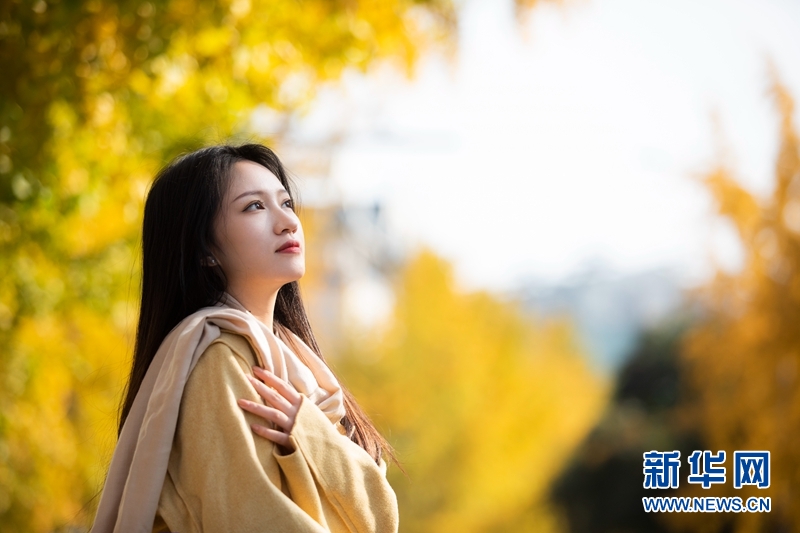 银杏暖初冬 欣赏风景的你也成了风景