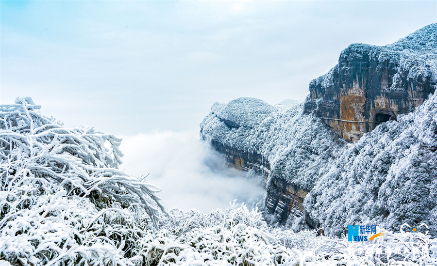 新华网发(胡波 摄)1月1日,游客在金佛山西坡滑雪场感受冰雪运动乐趣.