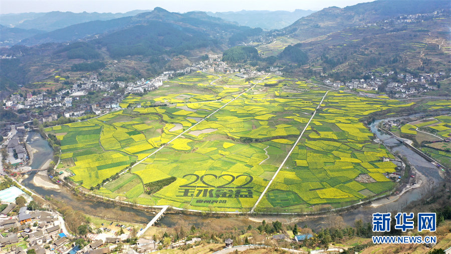 贵州开阳玉水金盆菜花黄踏青赏景享春光