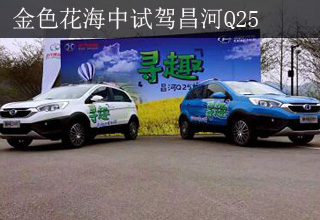 驾驭青春的灵动:金色花海中试驾昌河Q25