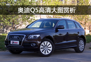 奥迪Q5 hybrid高清大图