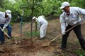 “饮水思源”环保行动——植树造林活动