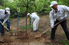 饮水思源：公益植树活动