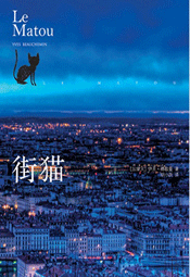 街猫