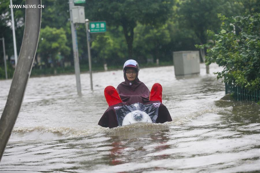 #CHINA-GUANGXI-LIUZHOU-RAINSTORM (CN)