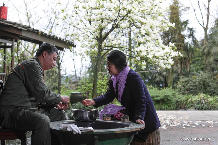 CHINA-SICHUAN-EMEI MOUNTAIN-ORGANIC TEA (CN)