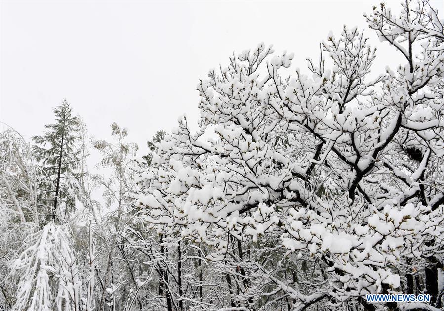 CHINA-INNER MONGOLIA-SNOW (CN)