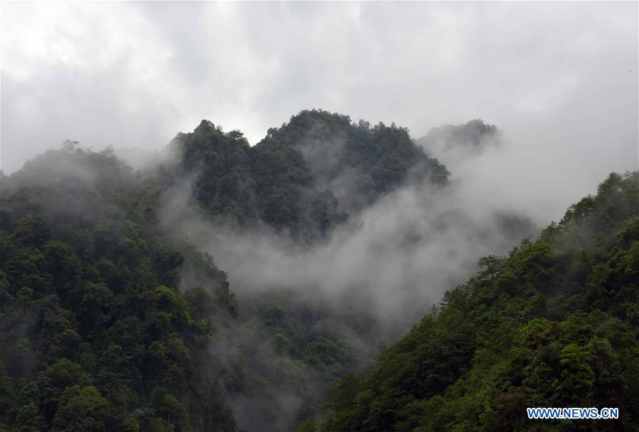 CHINA-YUNNAN-DULONG RIVER GORGE-SCENERY(CN)