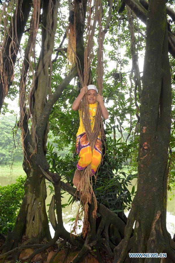 BANGLADESH-DHAKA-CENTURY-OLD BANYAN TREE