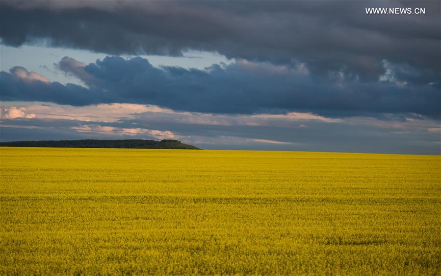 #CHINA-INNER MONGOLIA-HULUN BUIR-SCENERY (CN)