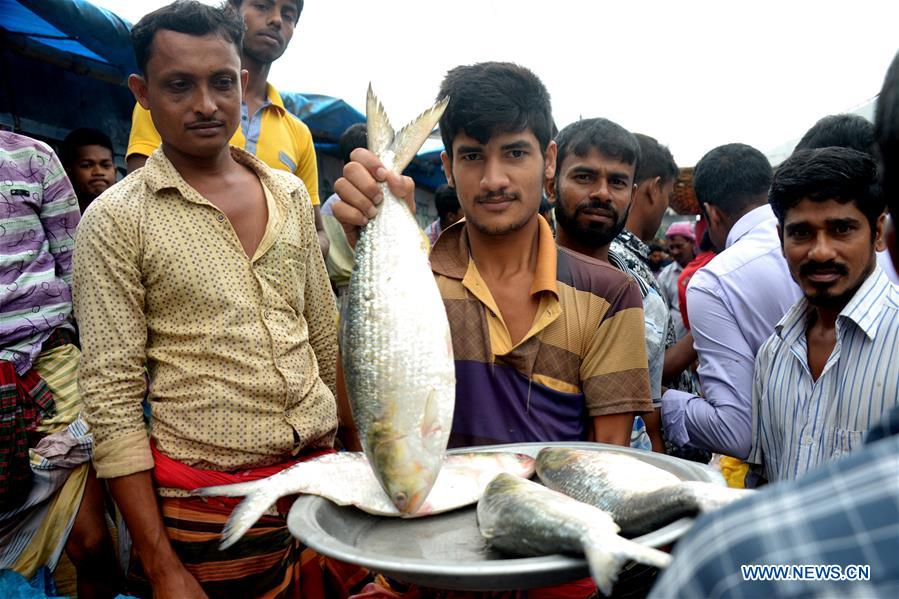 BANGLADESH-DHAKA-FISH-HILSA