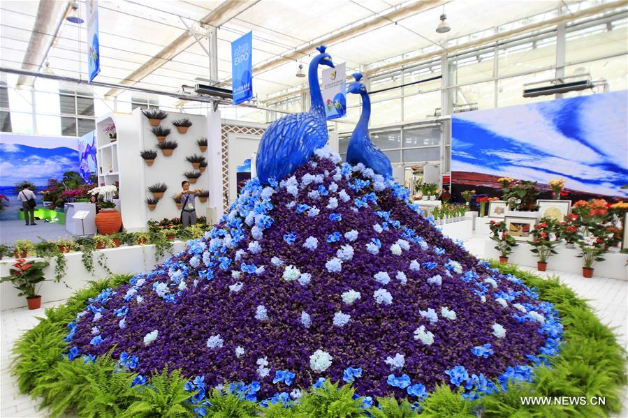 CHINA-YINCHUAN-FLOWER EXPO (CN)