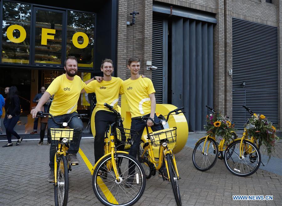 ofo news