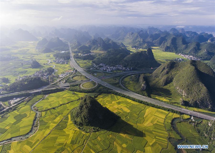 #CHINA-AUTUMN-PADDY FIELD (CN)