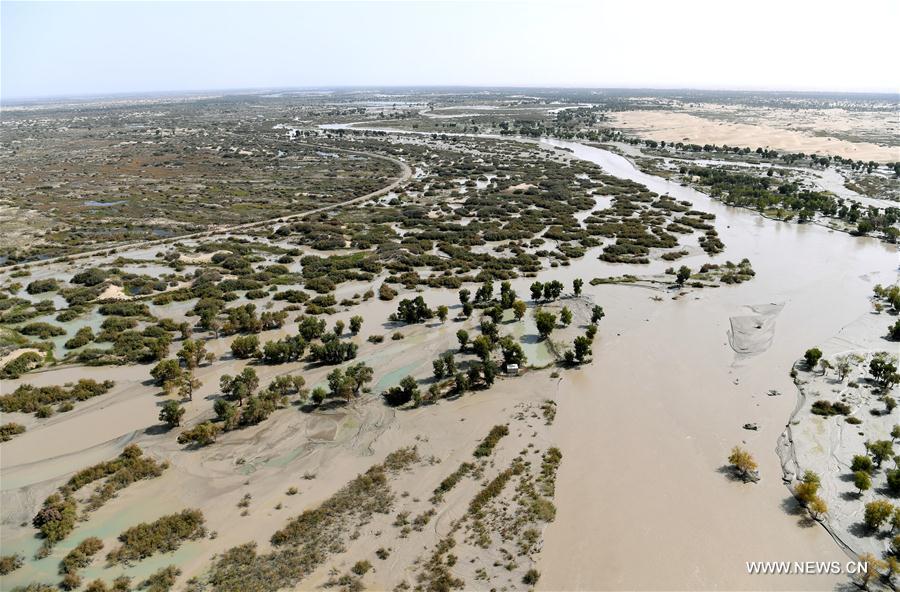 CHINA-XINJIANG-TARIM RIVER-SCENERY(CN)