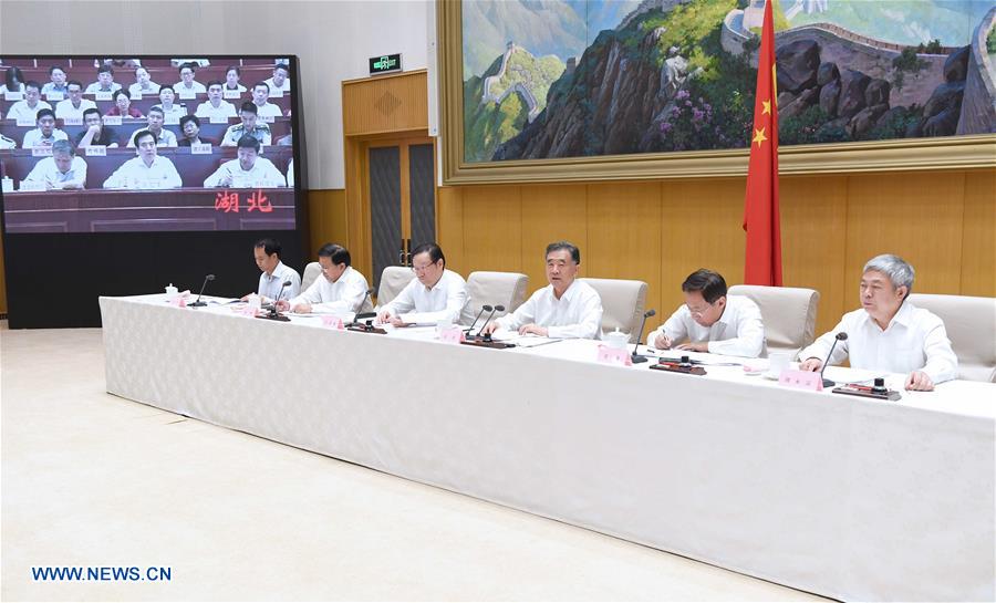 CHINA-BEIJING-WANG YANG-POVERTY ALLEVIATION-TELECONFERENCE(CN)