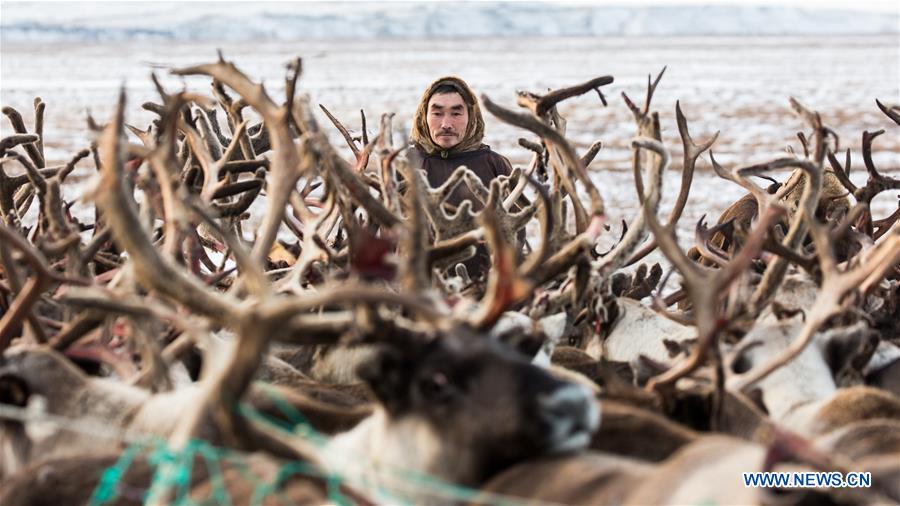 RUSSIA-SALEKHARD-DAILY LIFE-NENETS