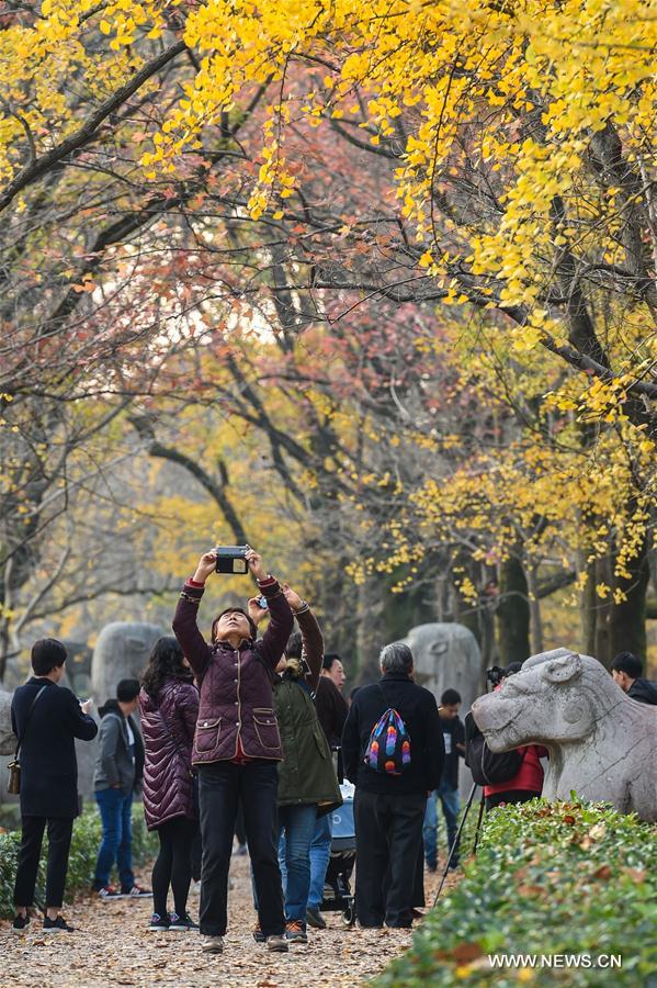 CHINA-NANJING-SCENERY(CN)