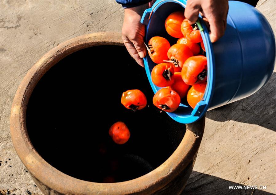 #CHINA-SHIJIAZHUANG-VINEGAR BREWING (CN)