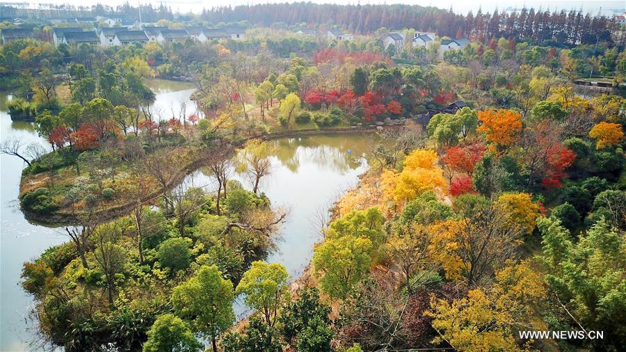 #CHINA-JIANGSU-LANGSHAN MOUNTAIN (CN)