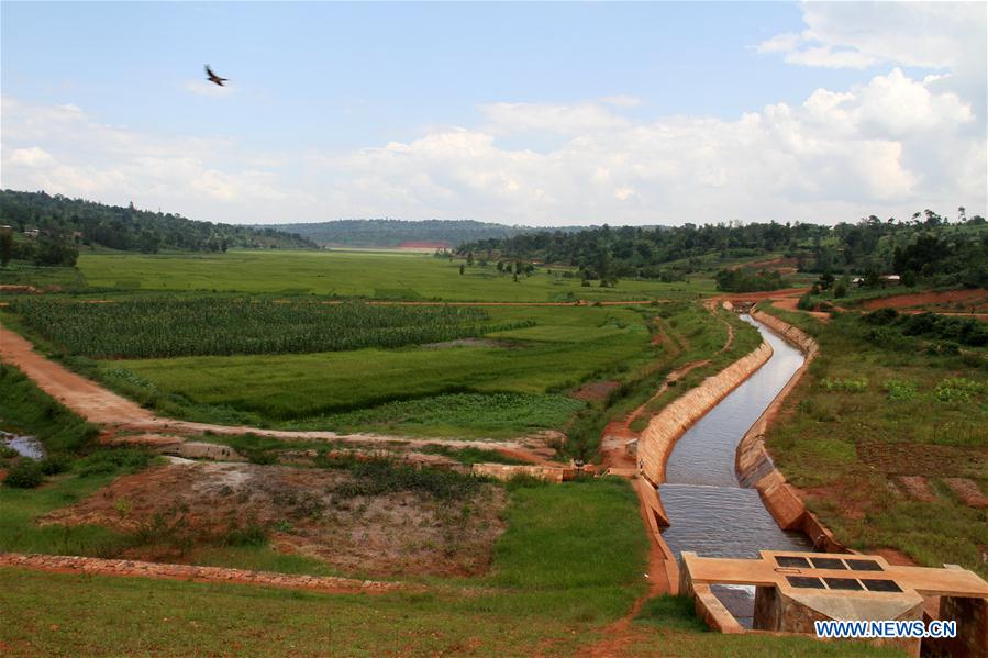 BURUNDI-KIRUNDO TOWN-CHINA-FARMLAND