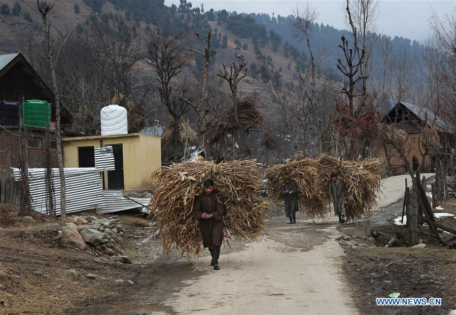 INDIAN-CONTROLLED KASHMIR-DAILY LIFE