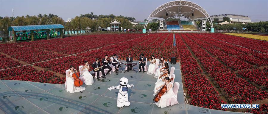 CHINA-GUANGDONG-CONCERT (CN)