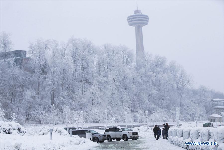 Canada experiences extreme cold weather - Xinhua