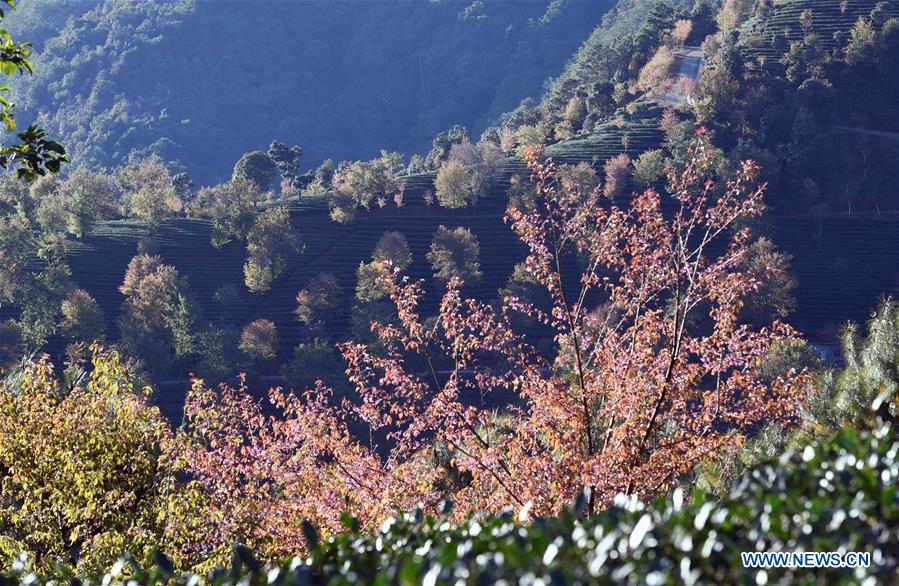 CHINA-YUNAN-MOUNTAIN-SCENERY(CN)