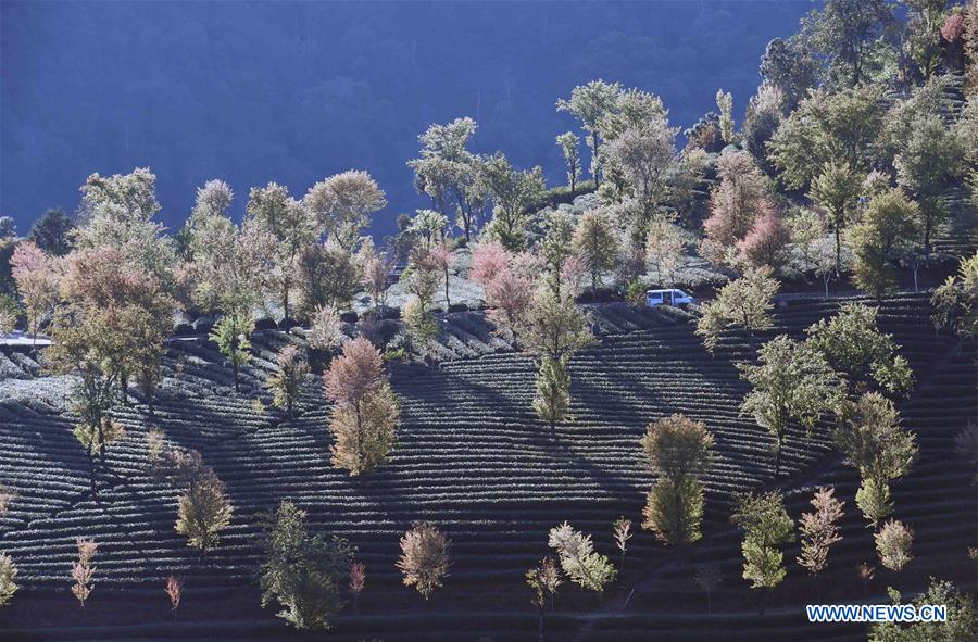 CHINA-YUNAN-MOUNTAIN-SCENERY(CN)