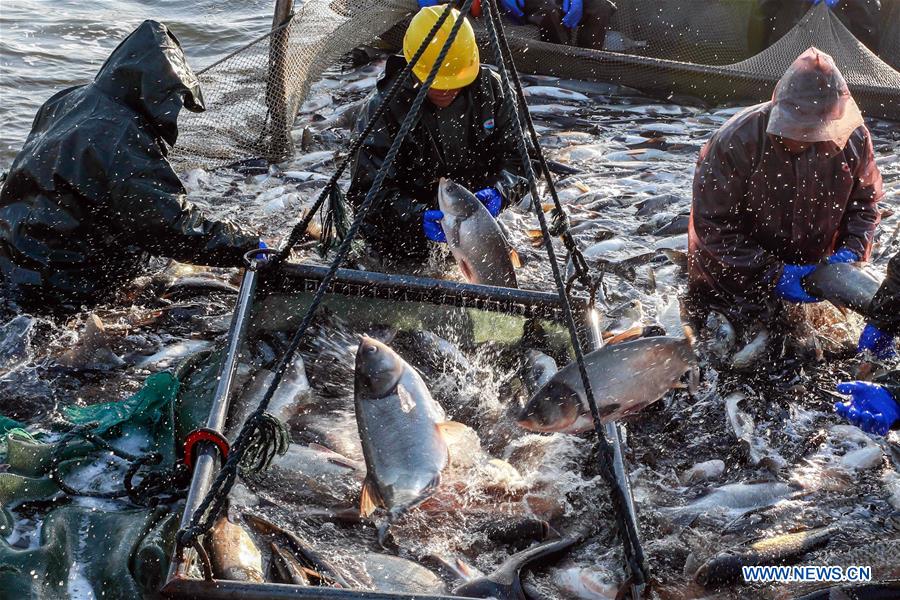 Winter fishing in Xinjiang