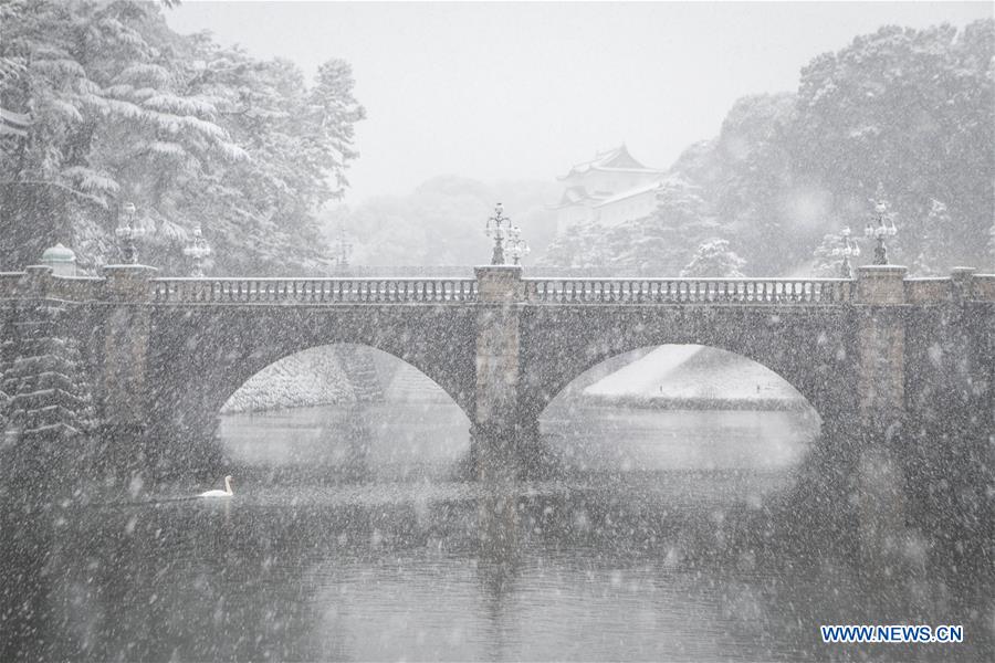 JAPAN-TOKYO-SNOW