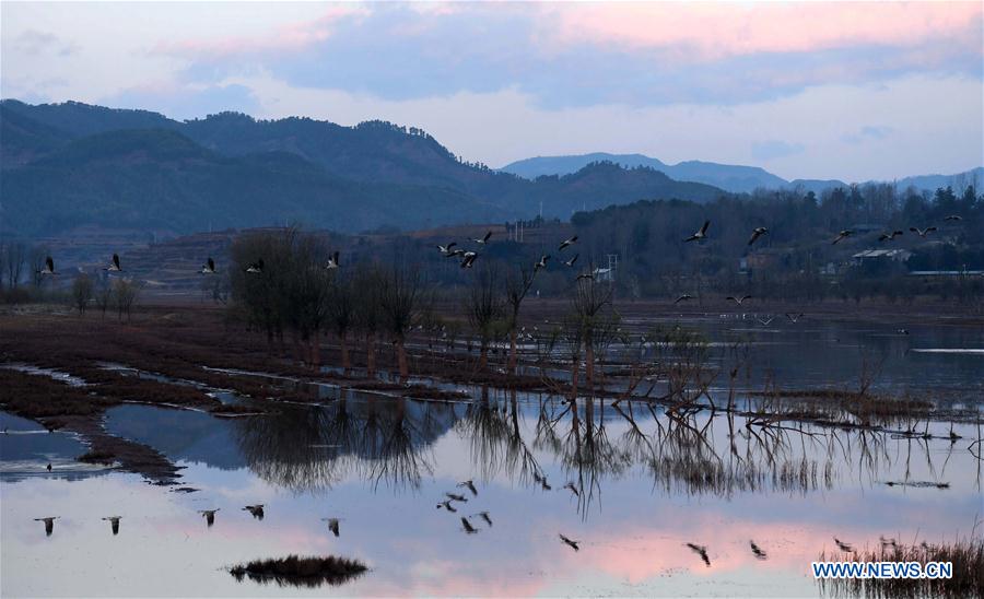 CHINA-YUNNAN-MIGRANT BIRDS (CN)