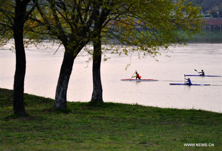 #CHINA-SPRING-SCENERY(CN)