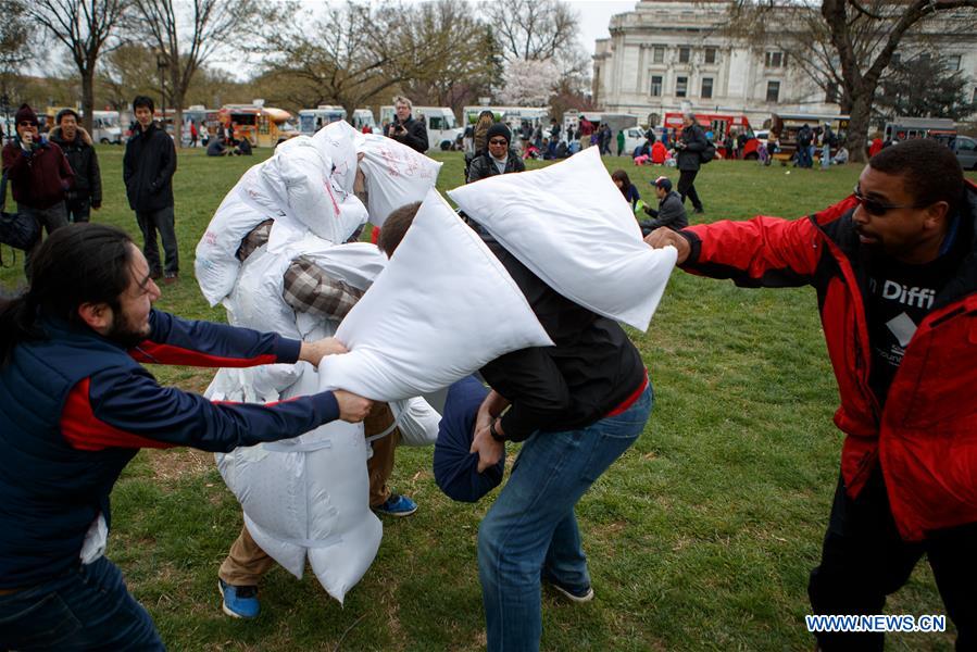 U.S.-WASHINGTON D.C.-PILLOW FIGHT