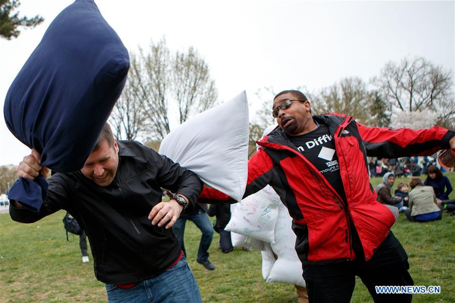 U.S.-WASHINGTON D.C.-PILLOW FIGHT