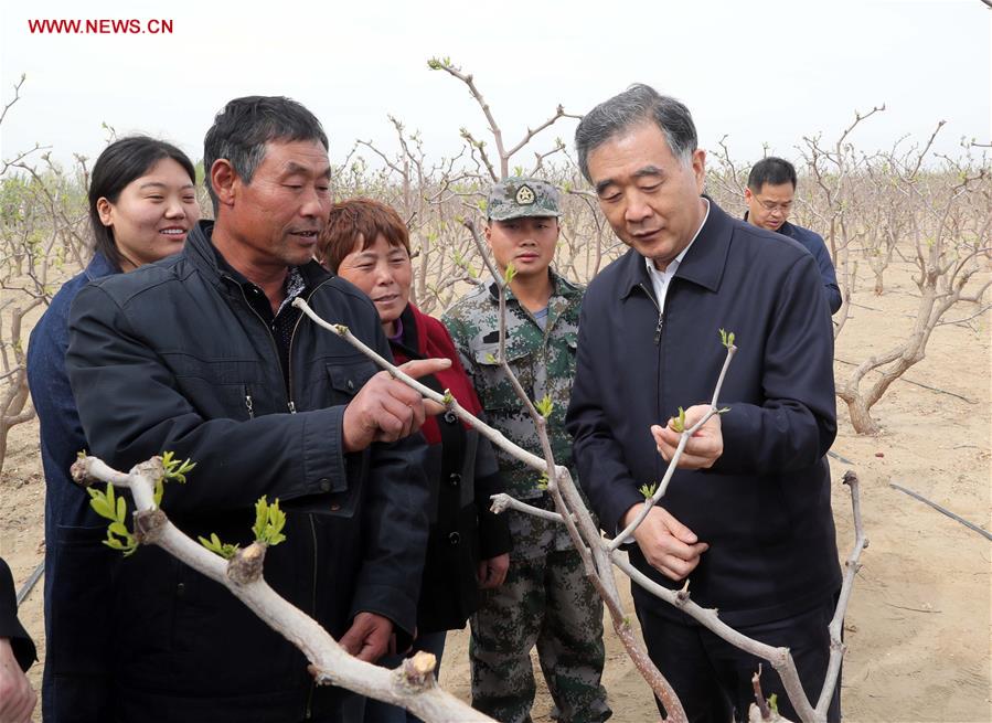 CHINA-XINJIANG-WANG YANG-INSPECTION(CN)