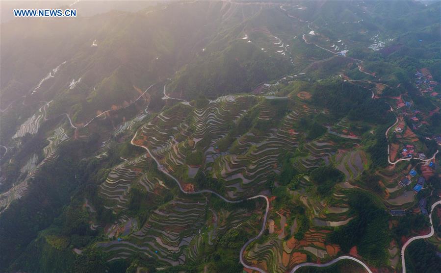 CHINA-GUANGXI-RONGSHUI-TERRACED FIELDS (CN)