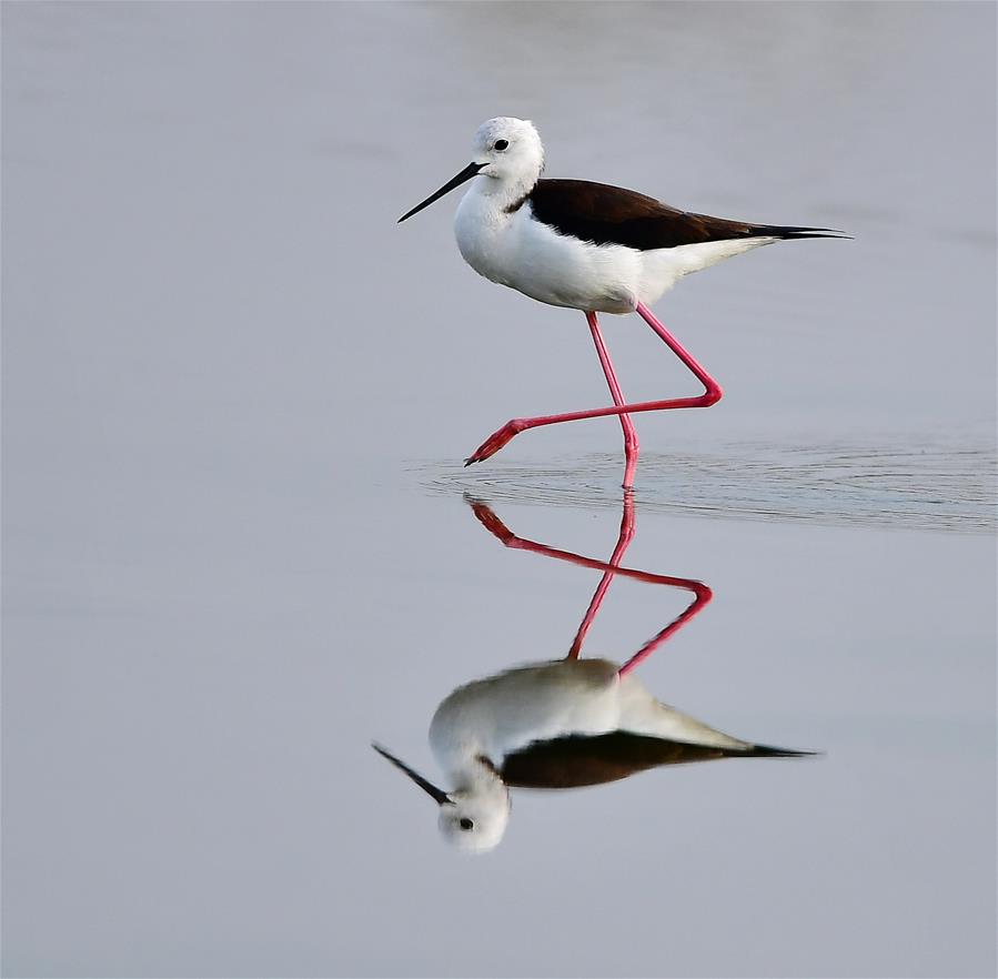 CHINA-FUJIAN-STILTS (CN)