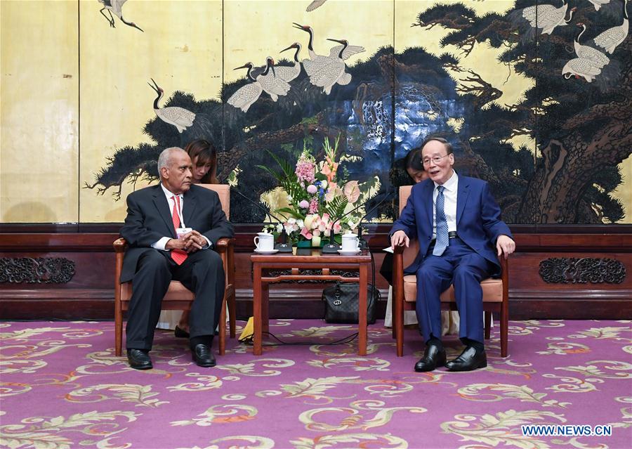 CHINA-BEIJING-WANG QISHAN-AFRICA-FORUM (CN)