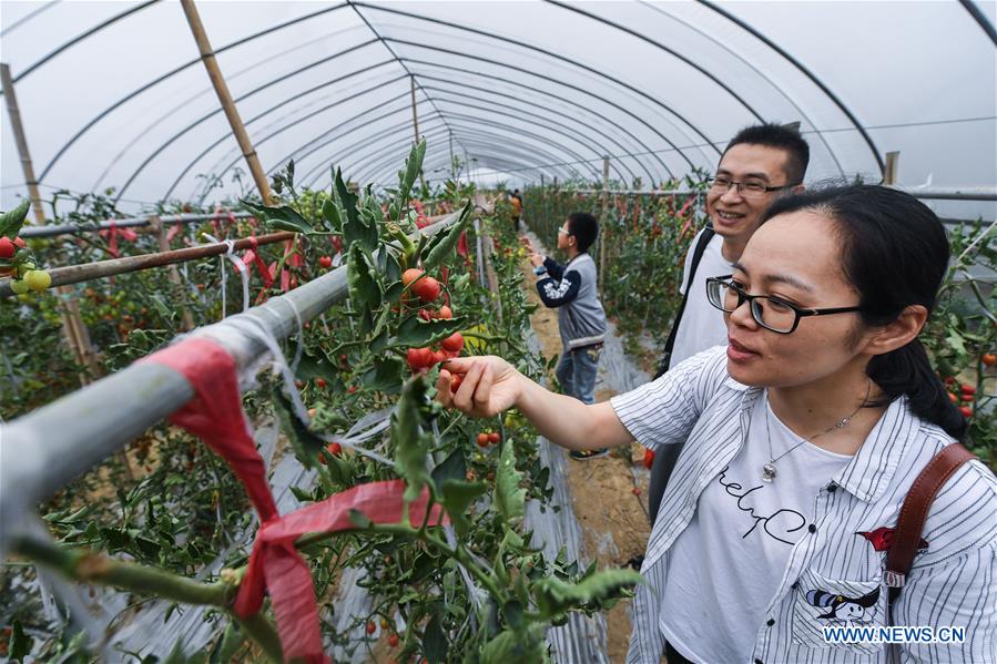 CHINA-ZHEJIANG-CHANGXING-COUNTRYSIDE TOURISM (CN)