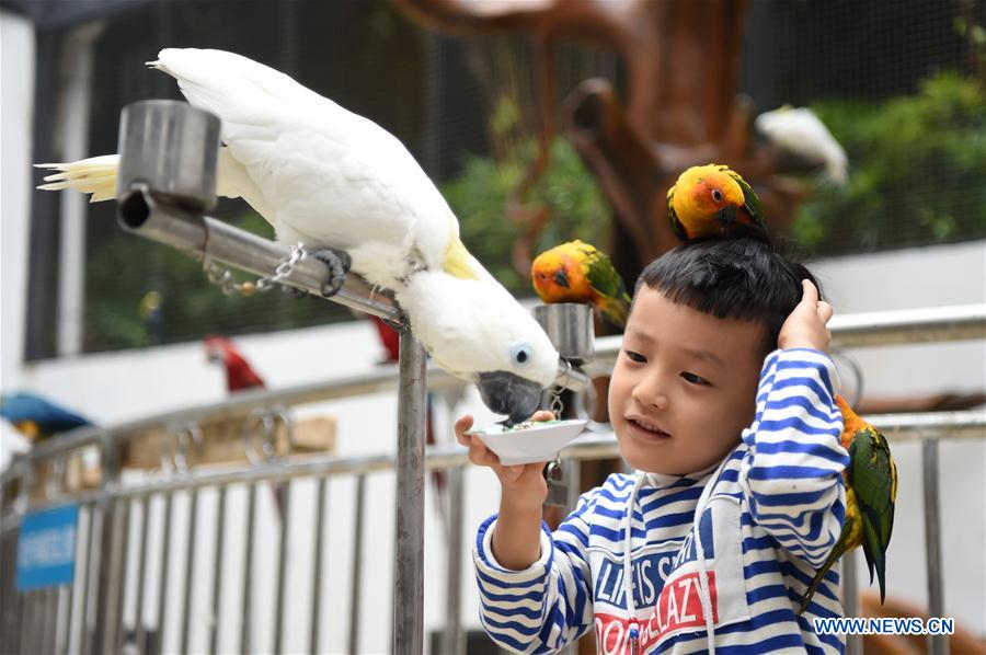 CHINA-CHONGQING-PARROT GARDEN-OPEN (CN)